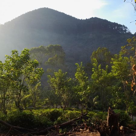 Ceylon Rich Leaves Ella Bed & Breakfast Luaran gambar