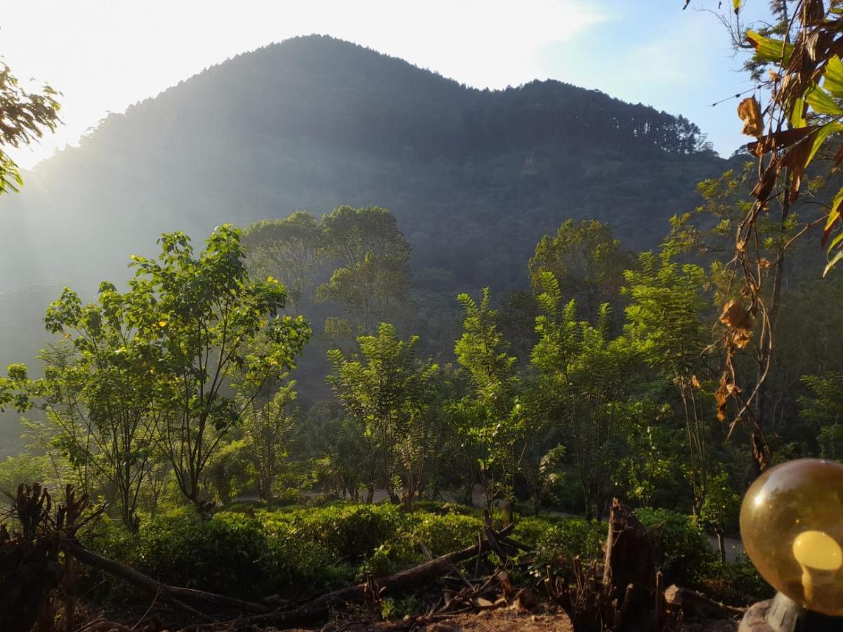 Ceylon Rich Leaves Ella Bed & Breakfast Luaran gambar